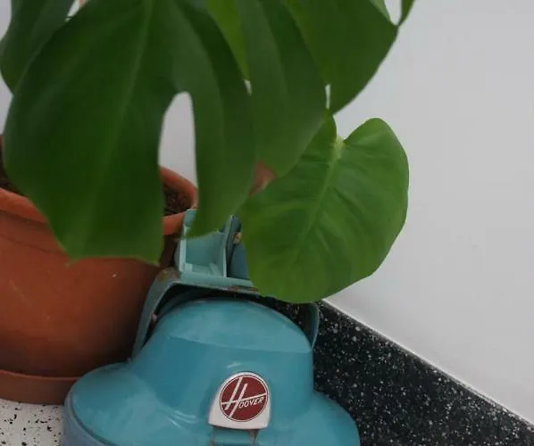 住宿加早餐酒店 Ghand In-nanna